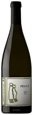 Quinta da Pellada Primus 2015 I 94 points Wine Advocate I Dao I Portugal - Terroir Wine Imports - buy wine online Ontario, Canada 
