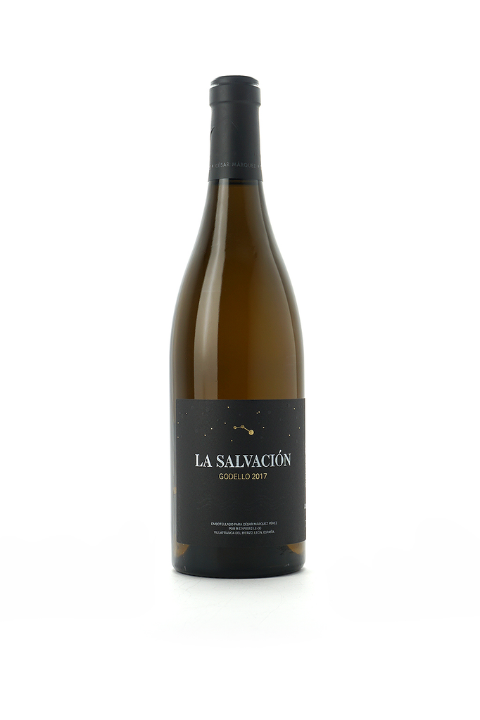 La Salvacion 2017 I 93 pts Wine Advocate I Bierzo I Spain - Terroir Wine Imports - buy wine online Ontario, Canada 