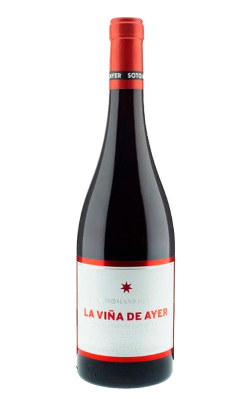 La Vina de ayer red 2018 | 91 points Wine Advocate | Gredos | Spain - Terroir Wine Imports - buy wine online Ontario, Canada 